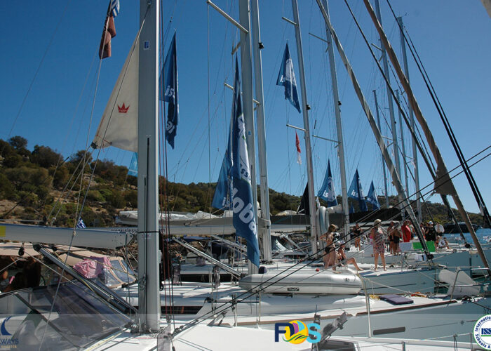 Festival of sails 2022